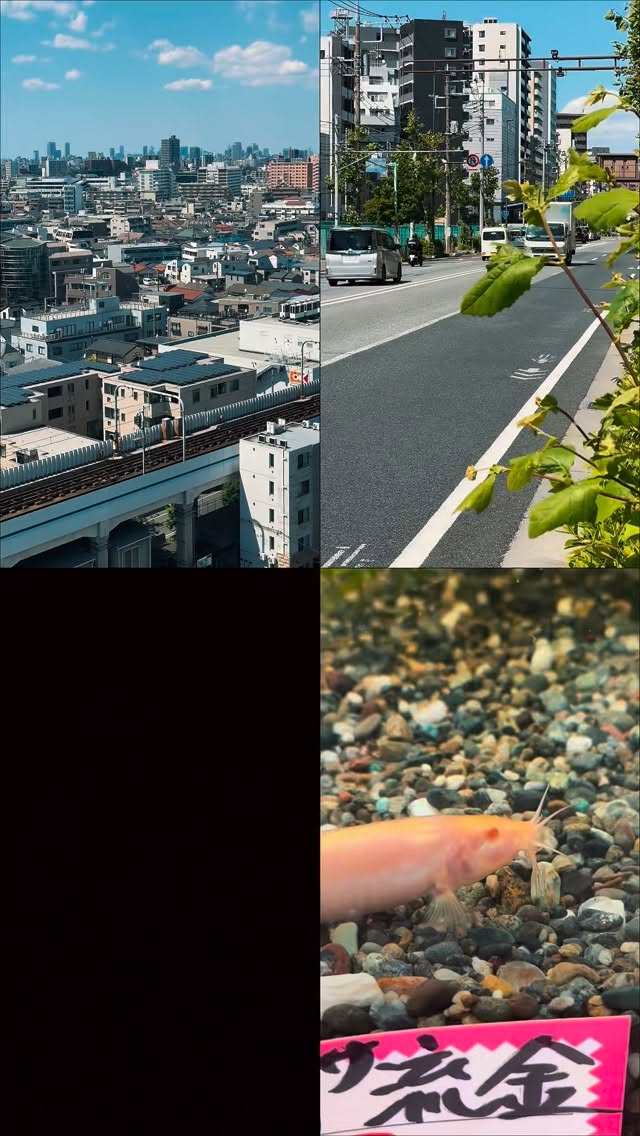 Instagram нийтлэл